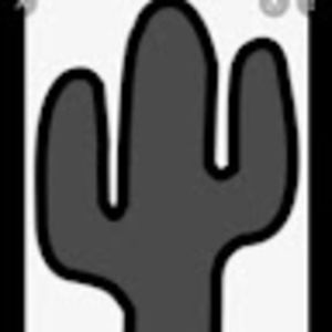 Meet your Posher, Ashlyn